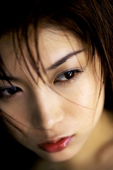 中国集团官网入口推荐